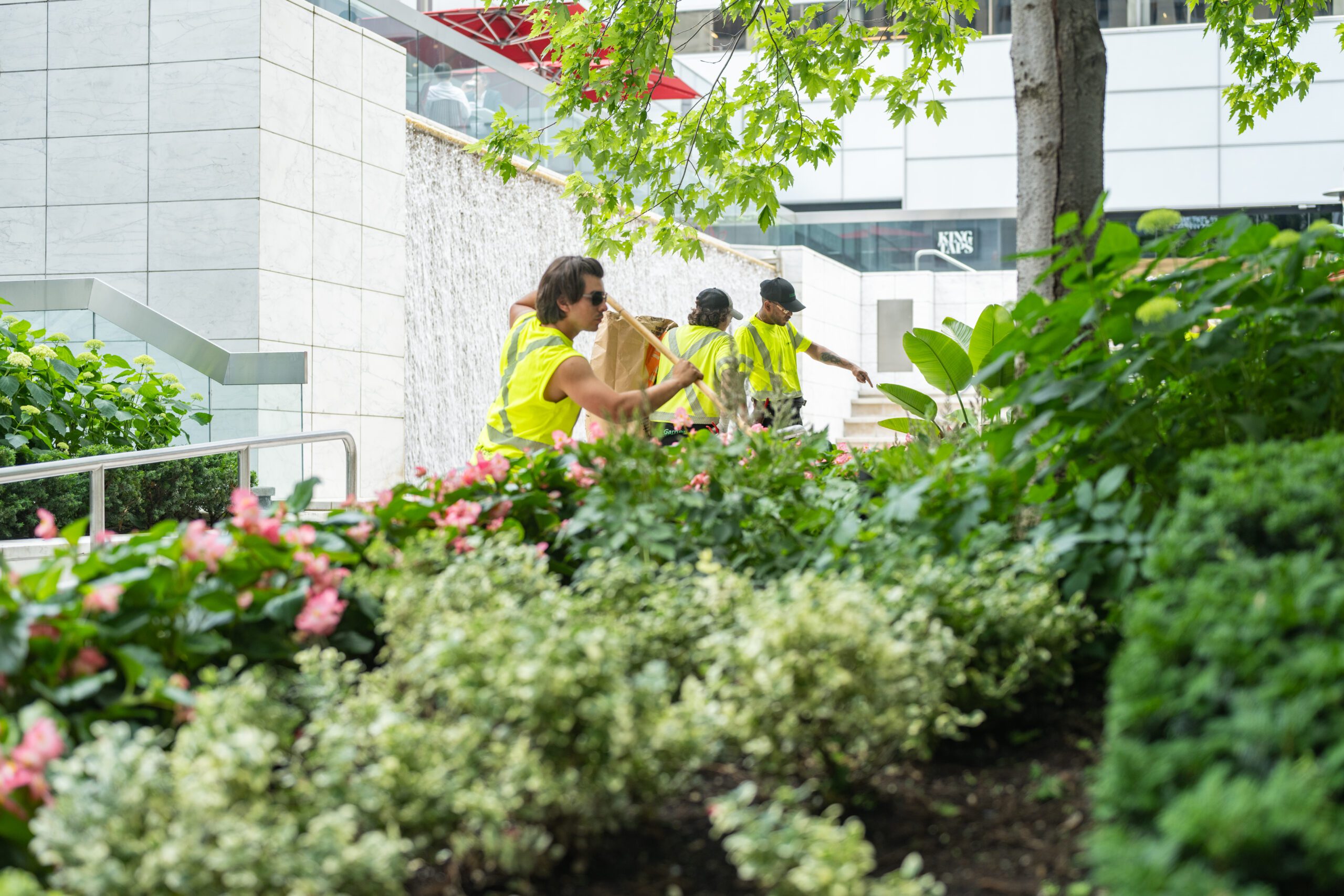 our maintenance team