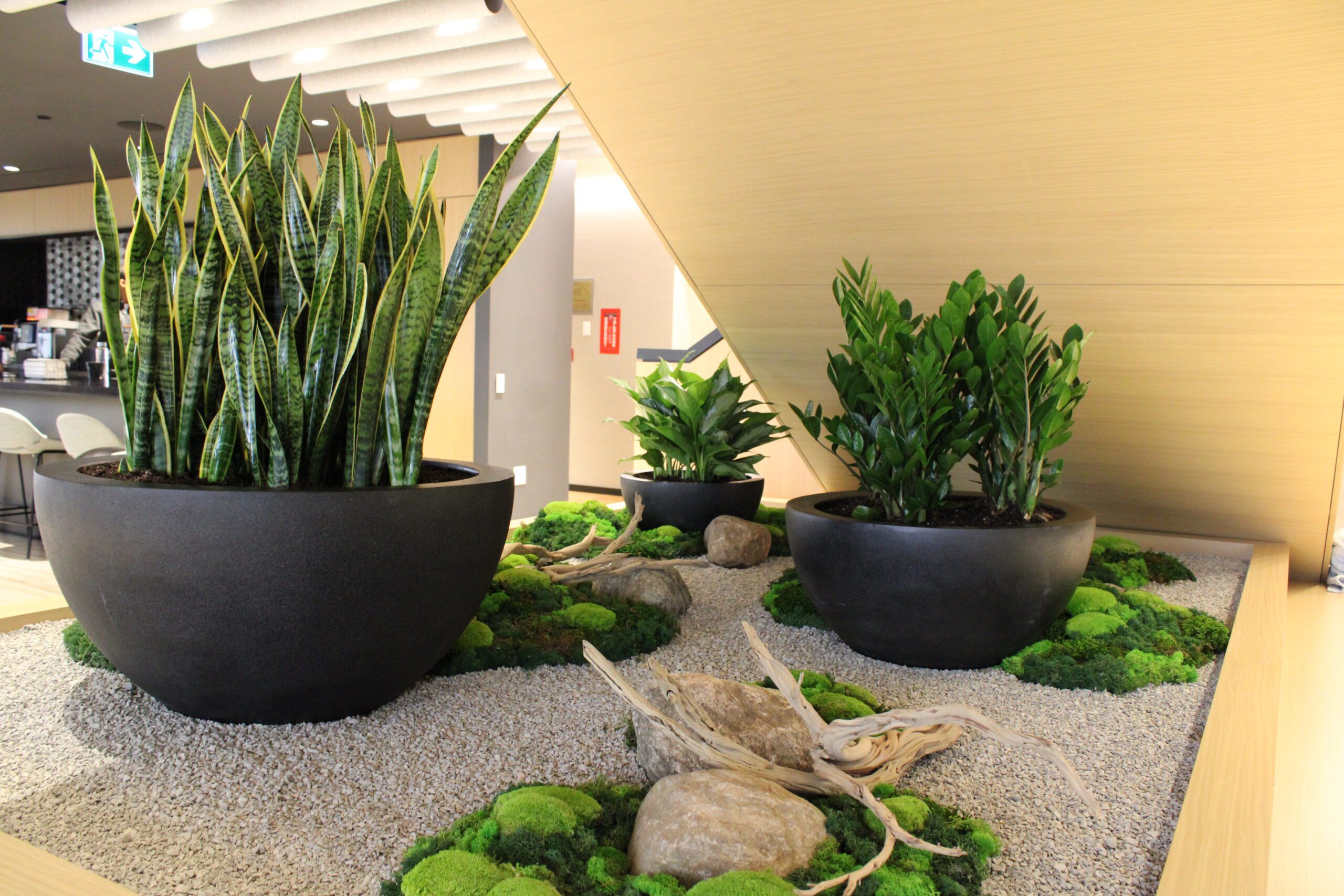 Interior 10 custom interior plant design