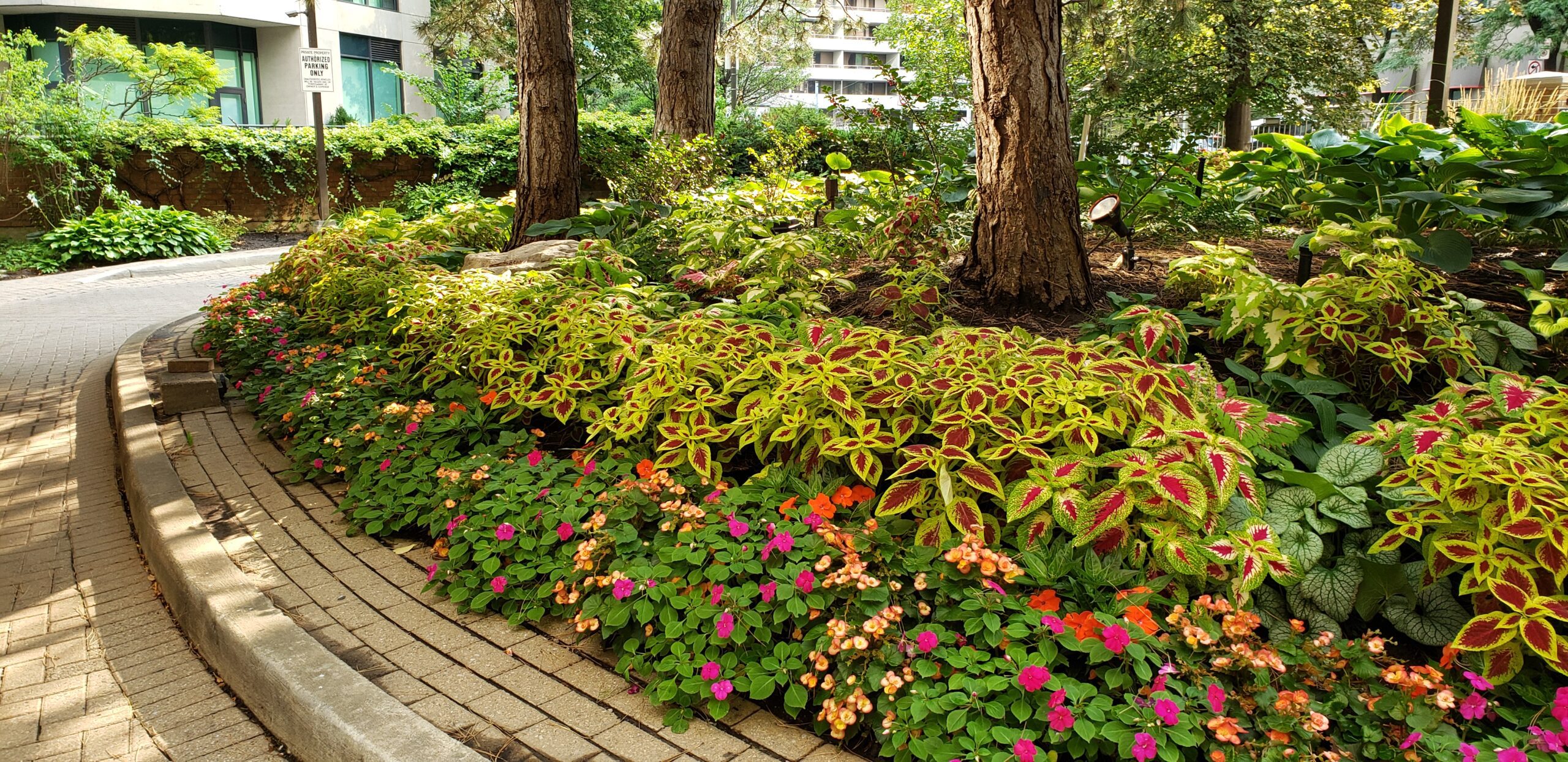 Maintenance 6 seasonal garden clean up