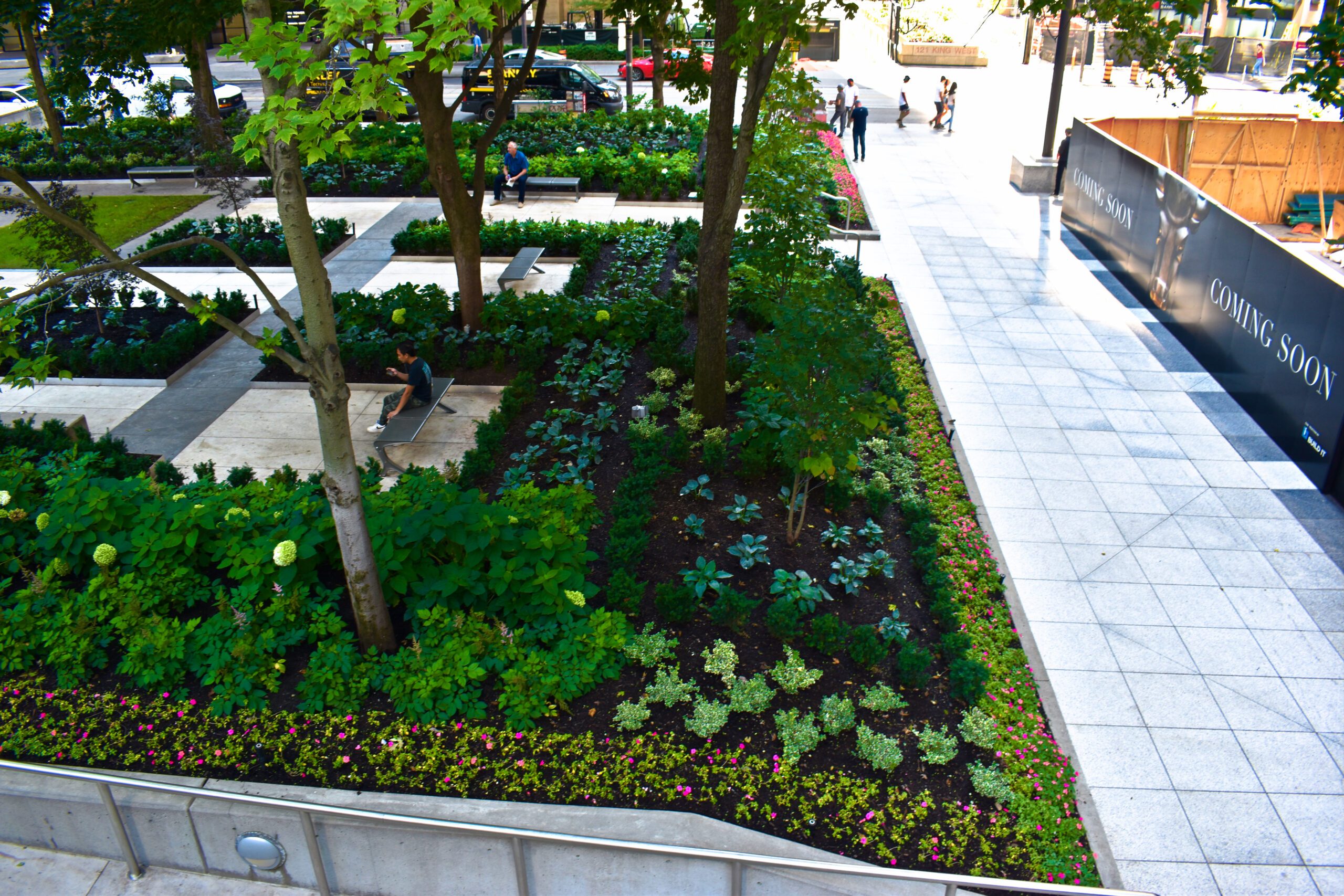 Maintenance 10 large scope softscape