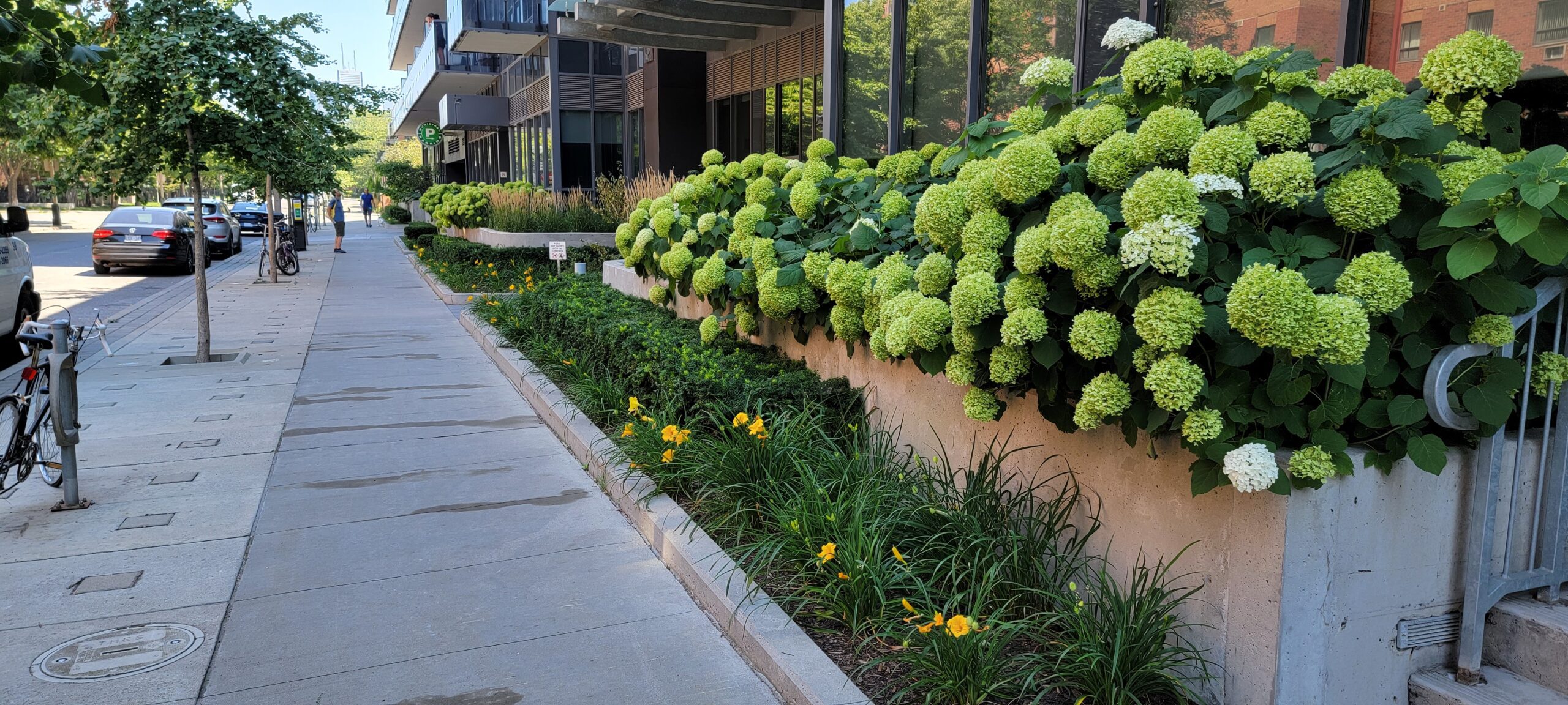 Maintenance 5 weeding flower beds