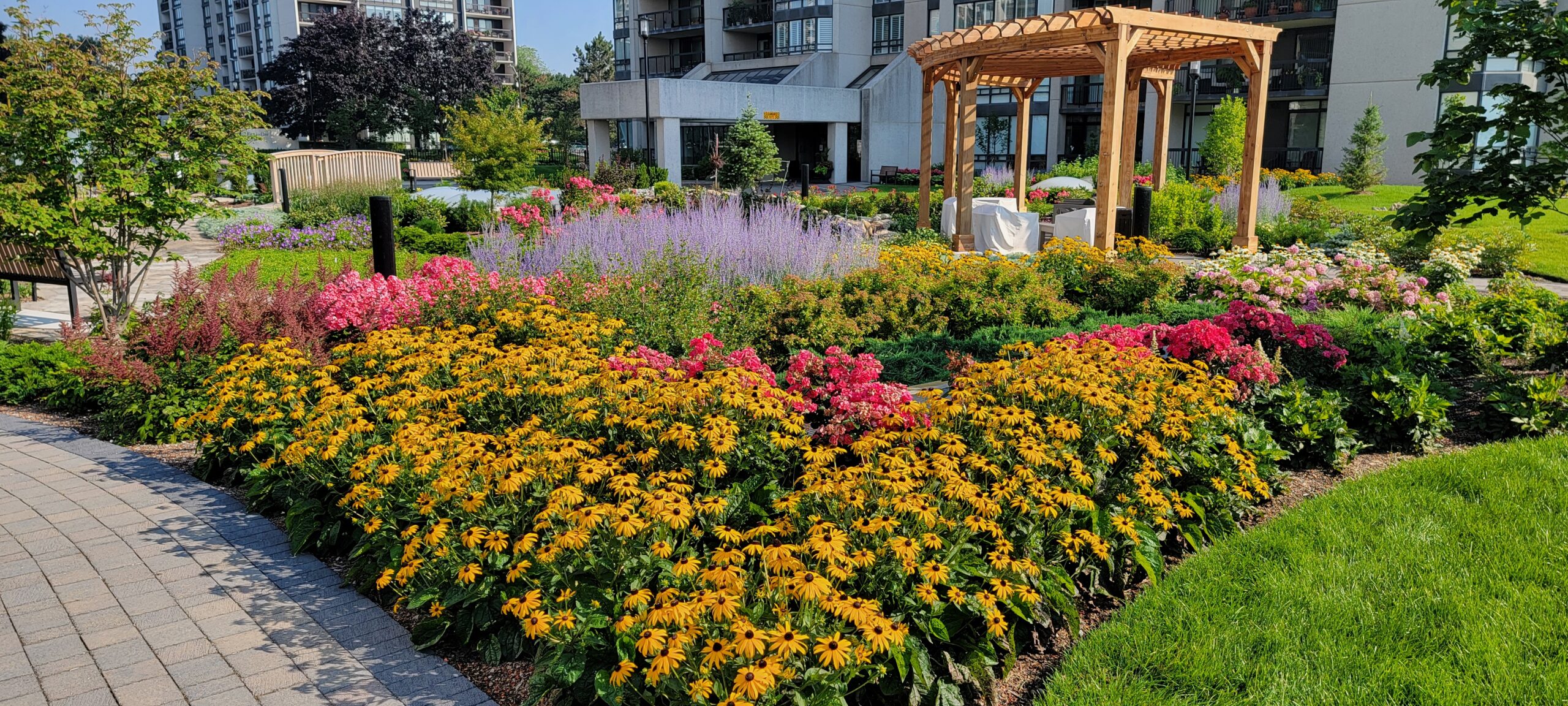 landscape-planting-hardscape