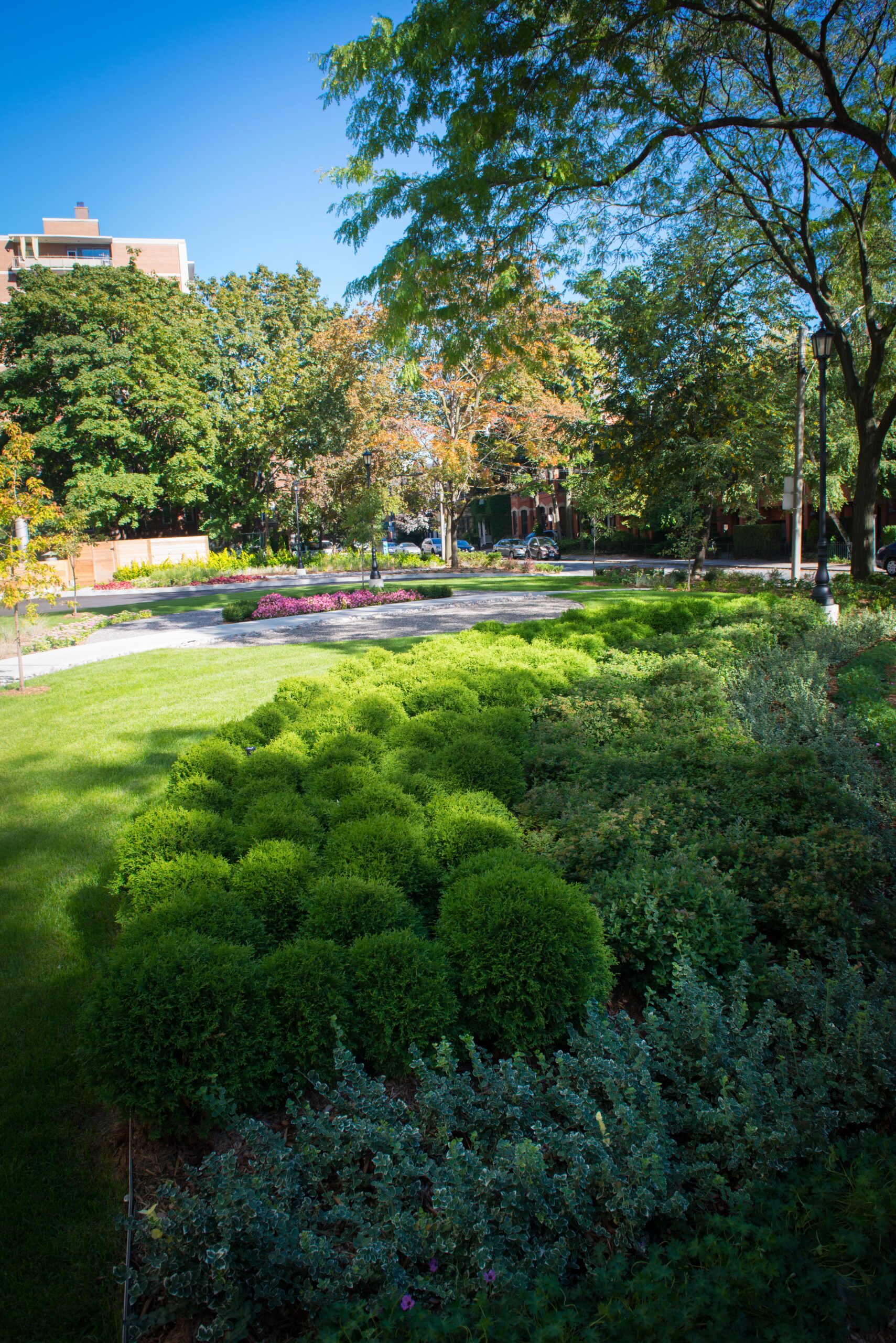 Maintenance 3 lawn care services