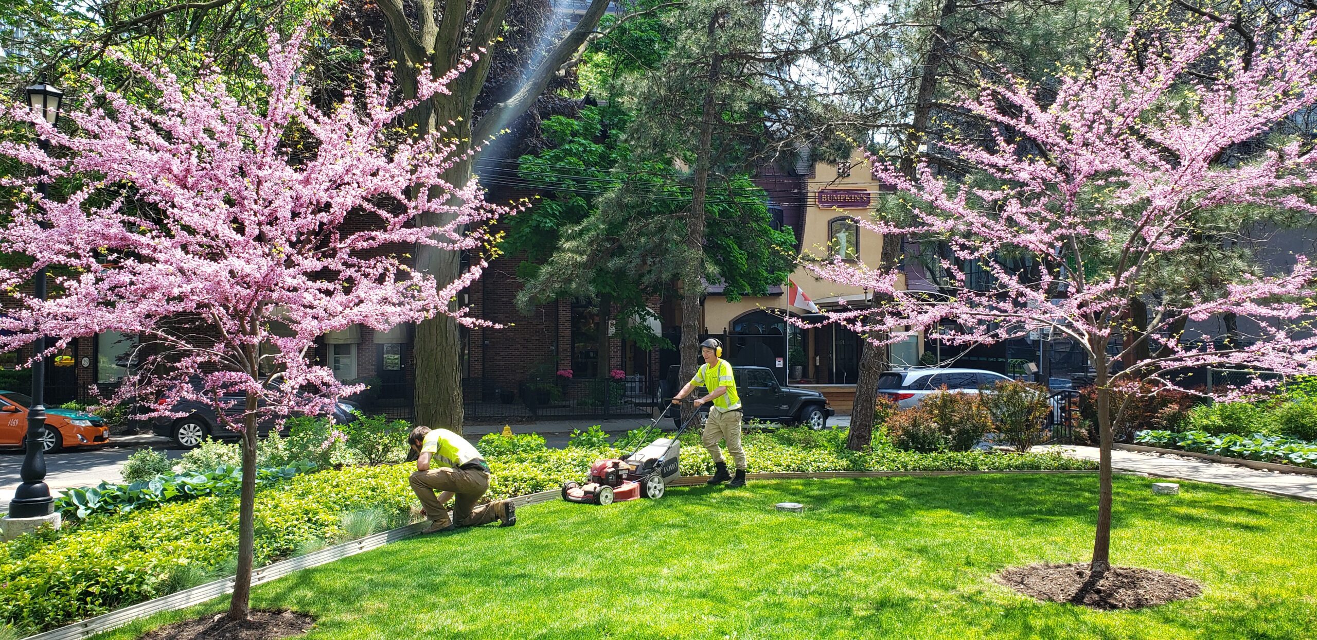 our crew at a jobsite