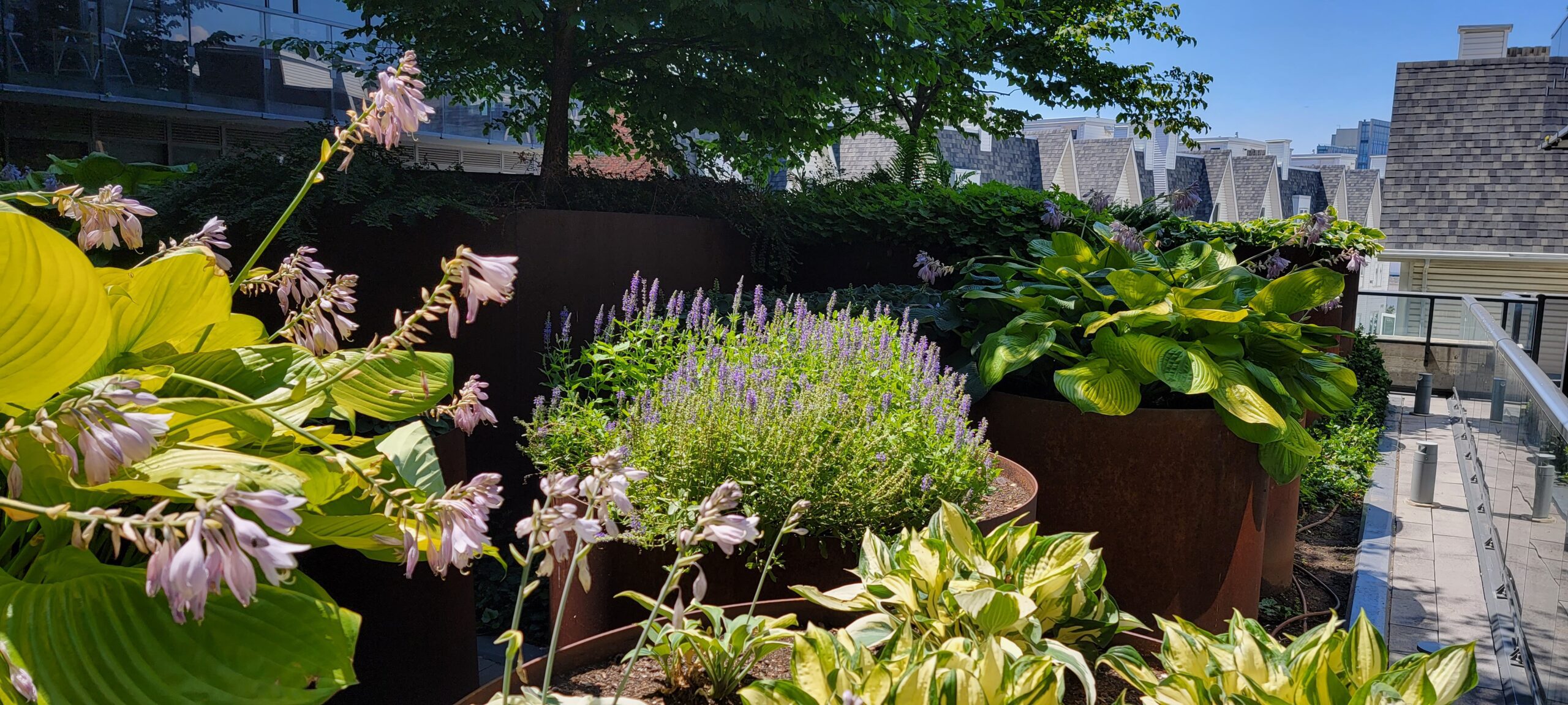 Maintenance 11 terrace maintenance