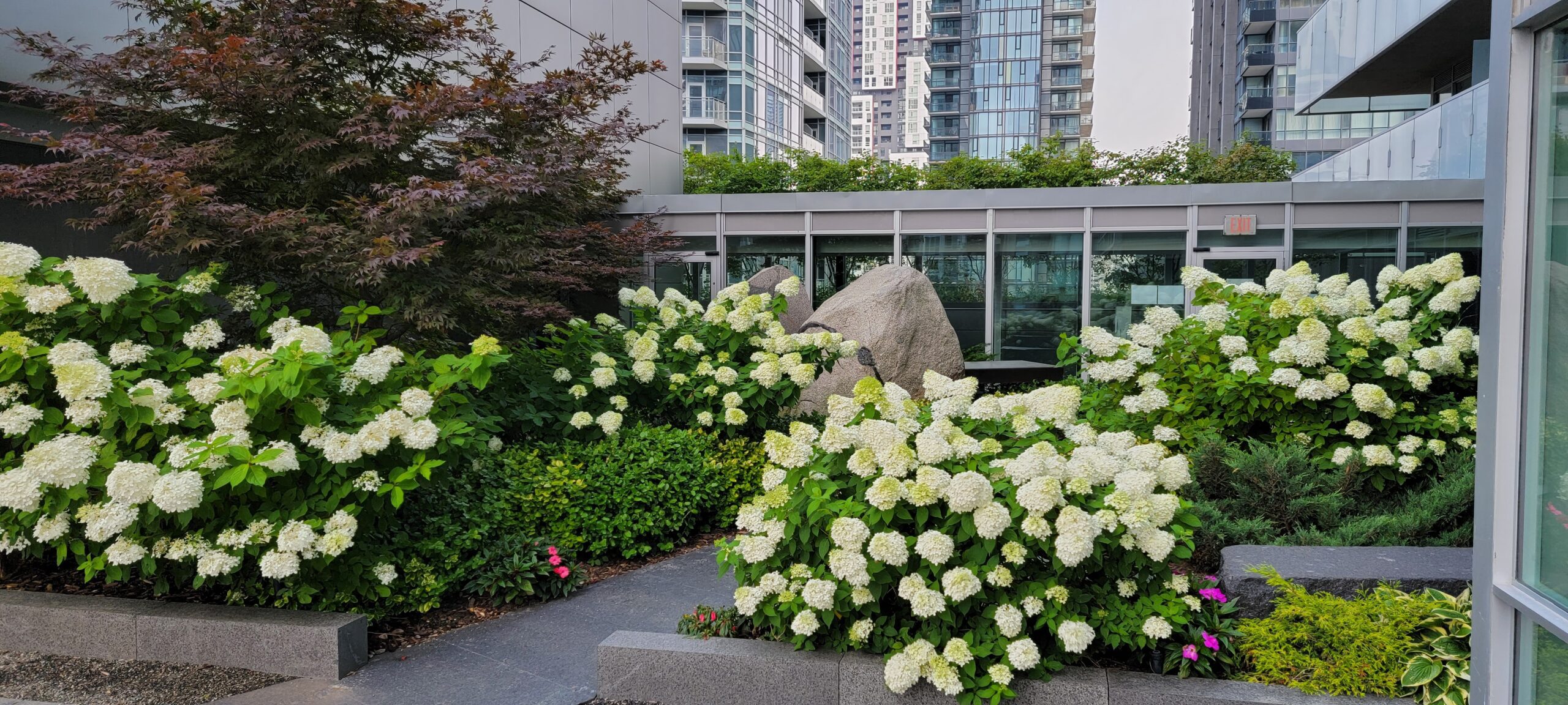 Maintenance 2 softscape maintenance