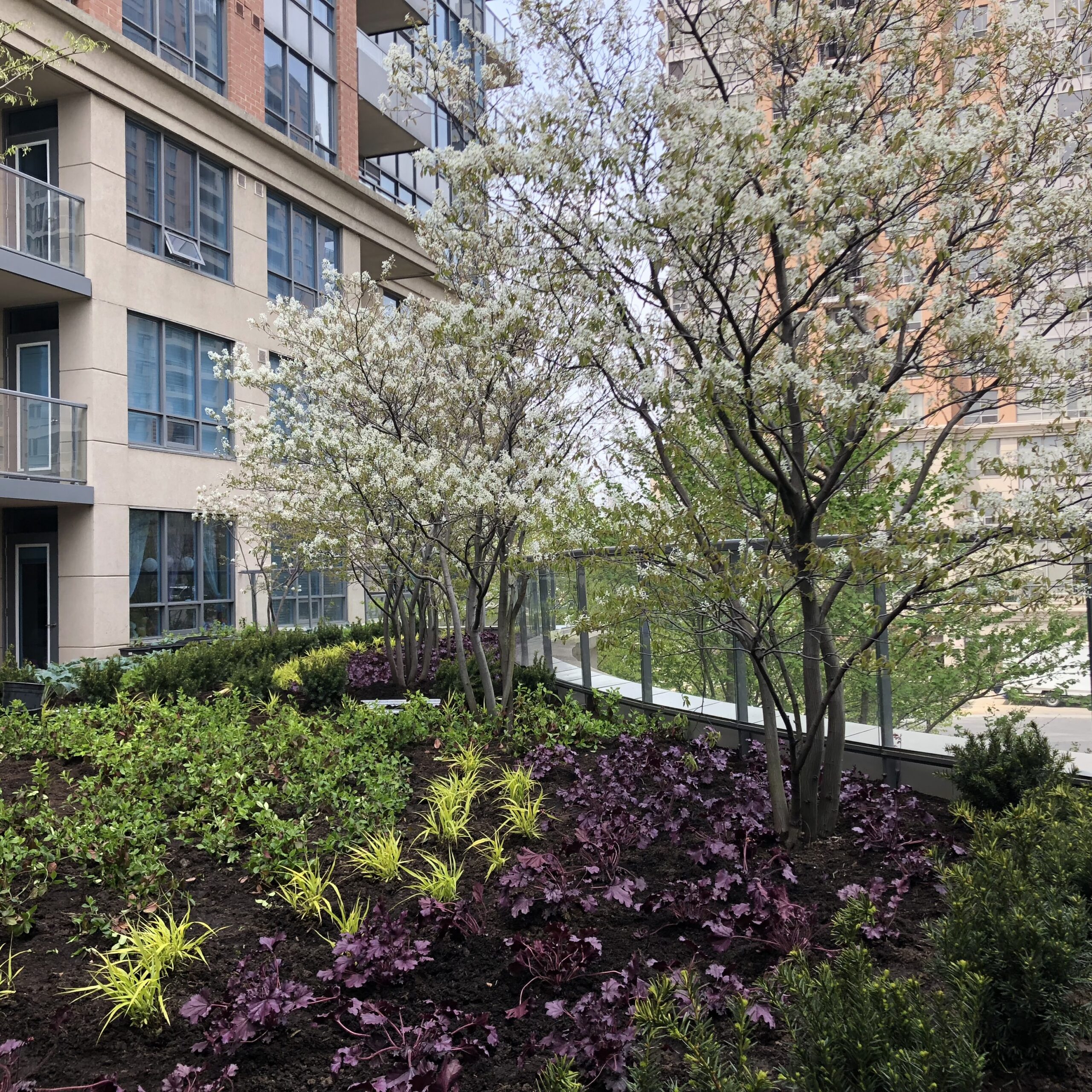 Maintenance 8 weekly landscape maintenance